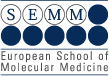 logo SEMM