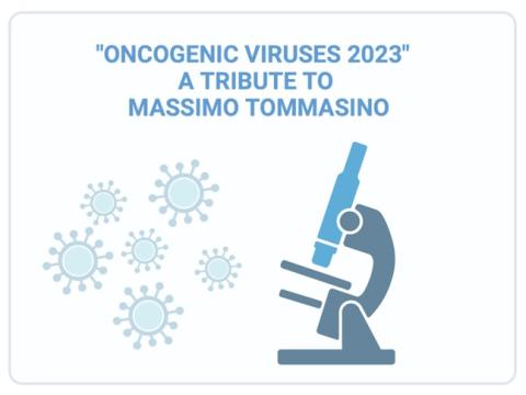 Poster Oncogenic Viruses 2023